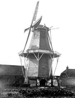 1, Molen 00499 Aurora (Uithuizen), Foto collectie Tjaart Egge Martens. De afgebeelde foto heb ik gekregen van mijn grootvader die hem weer van zijn grootvader - de stichter van de molen “Aurora” - had gekregen. Hij ging zo van de ene Tjaart Egge naar de volgende. Informatie en foto ingezonden door Tjaart Egge Martens. | Database Nederlandse molens