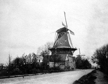 2, Molen 01761 De Ster (1e) (Rotterdam, stadsdeel Kralingen-Crooswijk), Foto:n.n., coll.Rob Pols | Database Nederlandse molens