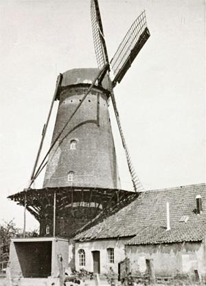 Molen 00218 Molen van Baarlo (Baarlo), afb. coll. DHM | Database Nederlandse molens
