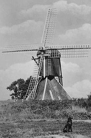 Molen 06437 Polder Van der Krieke / Polder 336 (Oldeboorn/ Aldeboarn), Foto: n.n., coll. V. Mepschen | Database Nederlandse molens