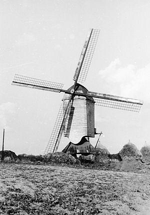 1, Molen 03513 Aurora (1e plek) (Baexem), Foto: Nico Jurgens, opname augustus 1966 | Database Nederlandse molens