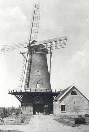 1, Molen 01903 De Haas (Hellevoetsluis), Foto: n.n., opname ca 1957 | Database Nederlandse molens