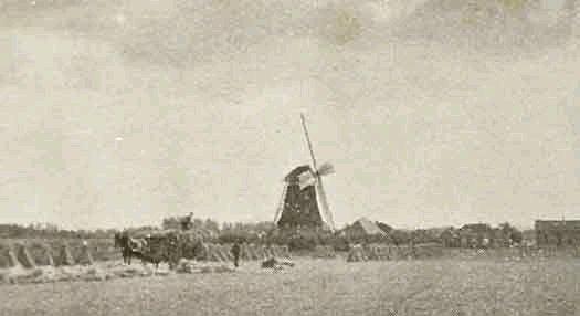 1, Molen 03134 b Buursinkmolen (Zelhem), Dit is de enige bekende foto van deze molen | Database Nederlandse molens