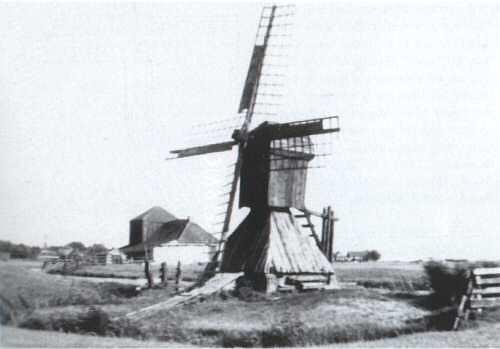 1, Molen 03171 (spinnenkop) (Ferwoude/ Ferwâlde), Foto: n.n., coll. Willem D. Hengst, Utskoat 75 | Database Nederlandse molens
