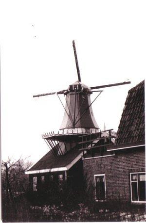 1, Molen 10219 Windlust (Zoeterwoude), Foto: collectie DVM, opname 1976 | Database Nederlandse molens