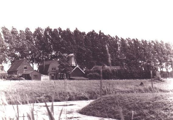1, Molen 10219 Windlust (Zoeterwoude), Foto: collectie DVM, gezien vanaf de Rijndijk | Database Nederlandse molens