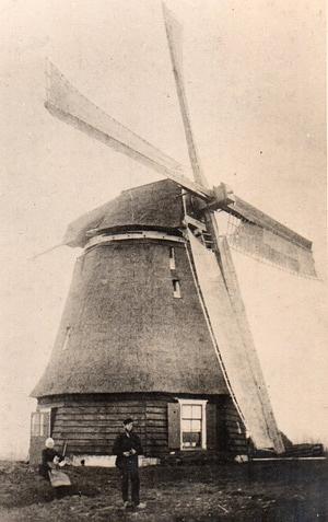 Molen 06505 t Philisteinse molen 3e voorganger (Bergen), Foto: n.n., opname vóór 1896, coll. Ruud vd Aakster | Database Nederlandse molens