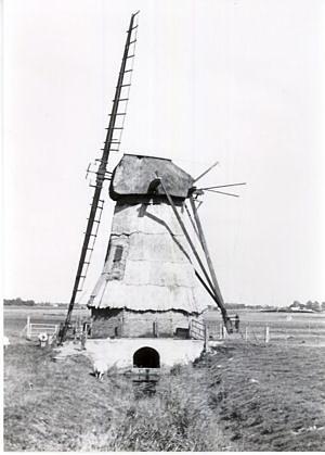 Molen 06906 u De Palen / Polder de Palen (Westerwijtwerd), Afb. collectie H. Elsinga (van na de verplaatsing) | Database Nederlandse molens