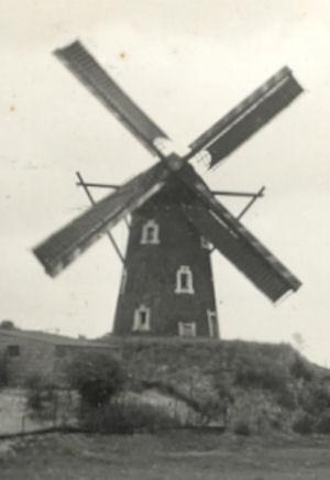 Molen 03904 De Houthuizer Molen (Lottum), Deel van onderstaande afbeelding | Database Nederlandse molens