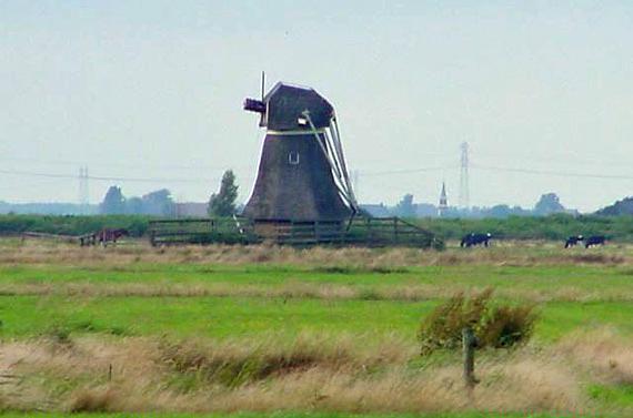 2, Molen 06439 Polder De Nije Borgkrite / Polder 106 (2e), Borgmolen (Grouw/ Grou), Foto: Marnix Bogaert, opname 22 juli 2002 | Database Nederlandse molens