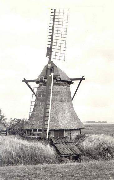 1, Molen 02934 Rispenserpoldermolen (Hidaard), Foto van J.A. van Krimpen, opname september 1974 | Database Nederlandse molens