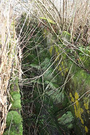 Molen 06417 q Zuiderpolder / de Zuidermolen / Maatsmolen (Noorddijk), Foto's: Ronald Bakker, opname 28 november 2015restanten van een houten vijzel | Database Nederlandse molens