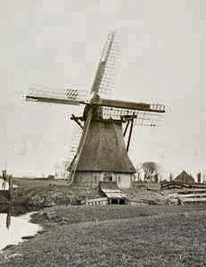 Molen 02951 Polder De Witte Molen, De Witkop (Oosterend/ Easterein), coll DHM | Database Nederlandse molens