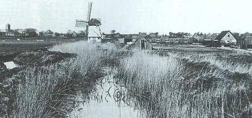 1, Molen 00342 Westerlanderkoog (De Haukes), Foto: n.n. | Database Nederlandse molens