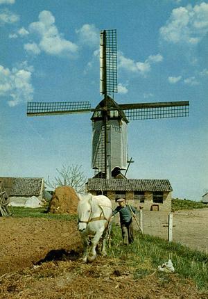 Molen 01226 Molen van Nederasselt (2e) (Nederasselt), Ansichtkaart, coll. Redmer Holwerda | Database Nederlandse molens