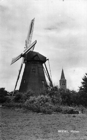 Molen 00213 De Grauwe Beer (Beesel), Foto: vermoedelijk Louis Konings, opn 1960, coll. Marc Crins | Database Nederlandse molens