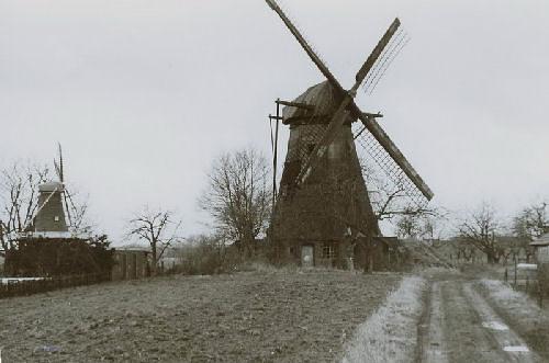 2, Molen 00213 De Grauwe Beer (Beesel), Foto: Coen Luttels, opn.1980, collectie Marc Crins | Database Nederlandse molens