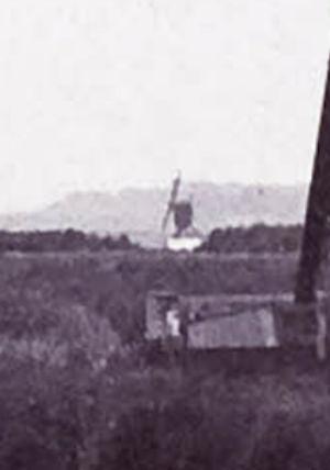 Molen 04145 e (wipmolen) (Graft), Foto (uitsnede): Allemolens (uit de verte langs BM 2) | Database Nederlandse molens