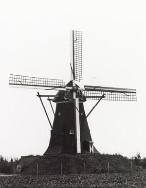 Molen 12266 De Grauwe Beer (Beesel), Foto: coll. DHM | Database Nederlandse molens