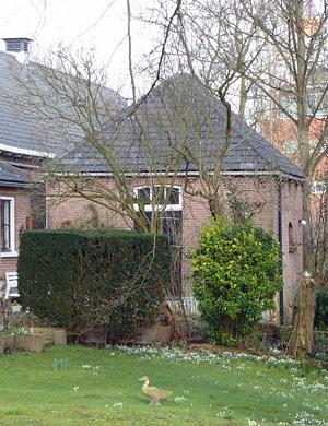 Molen 17339 Karnmolen Beukhoeve (Zoetermeer), Foto: Peter van der Drift, opname 13 februari 2016 | Database Nederlandse molens